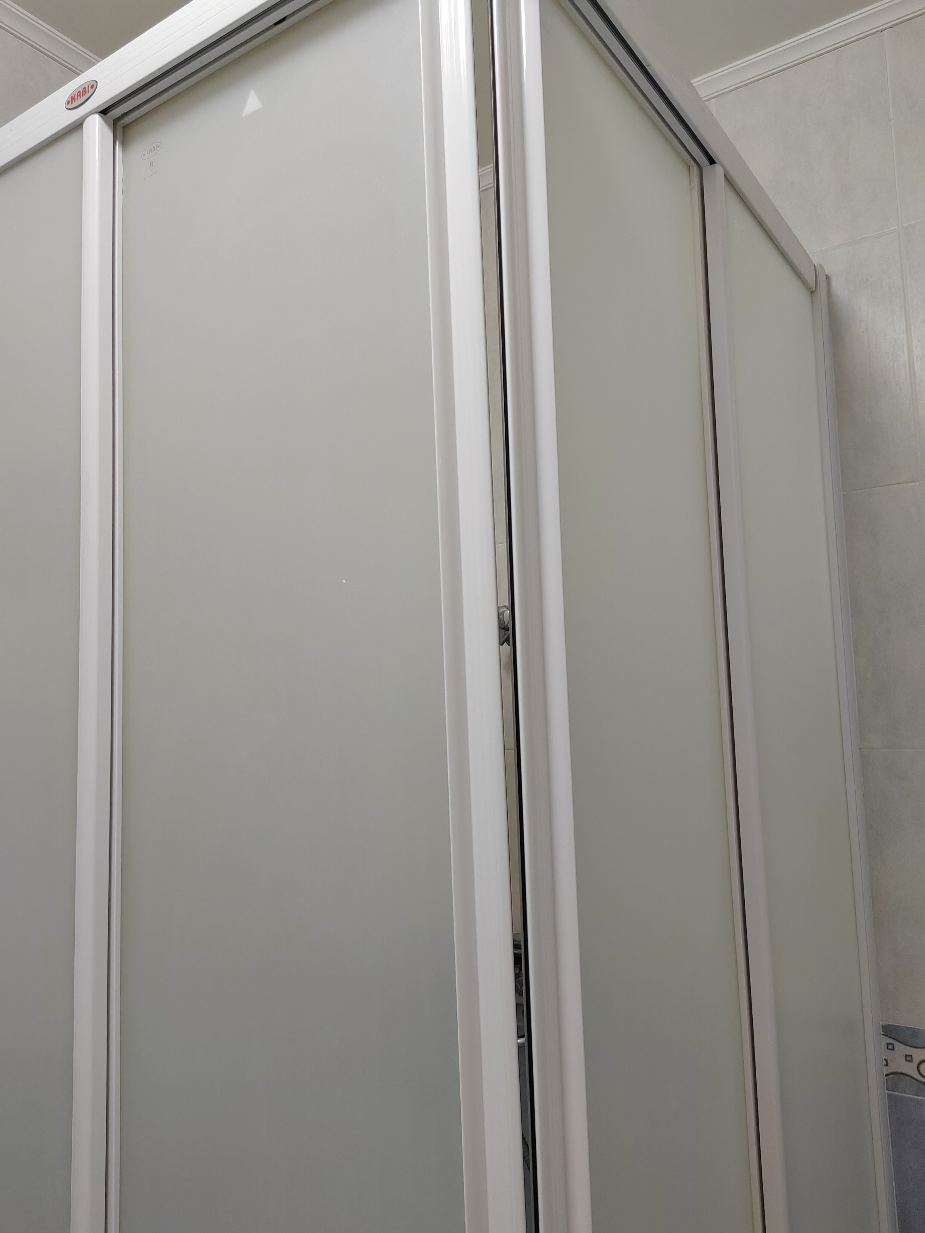 Фото Тюльпан