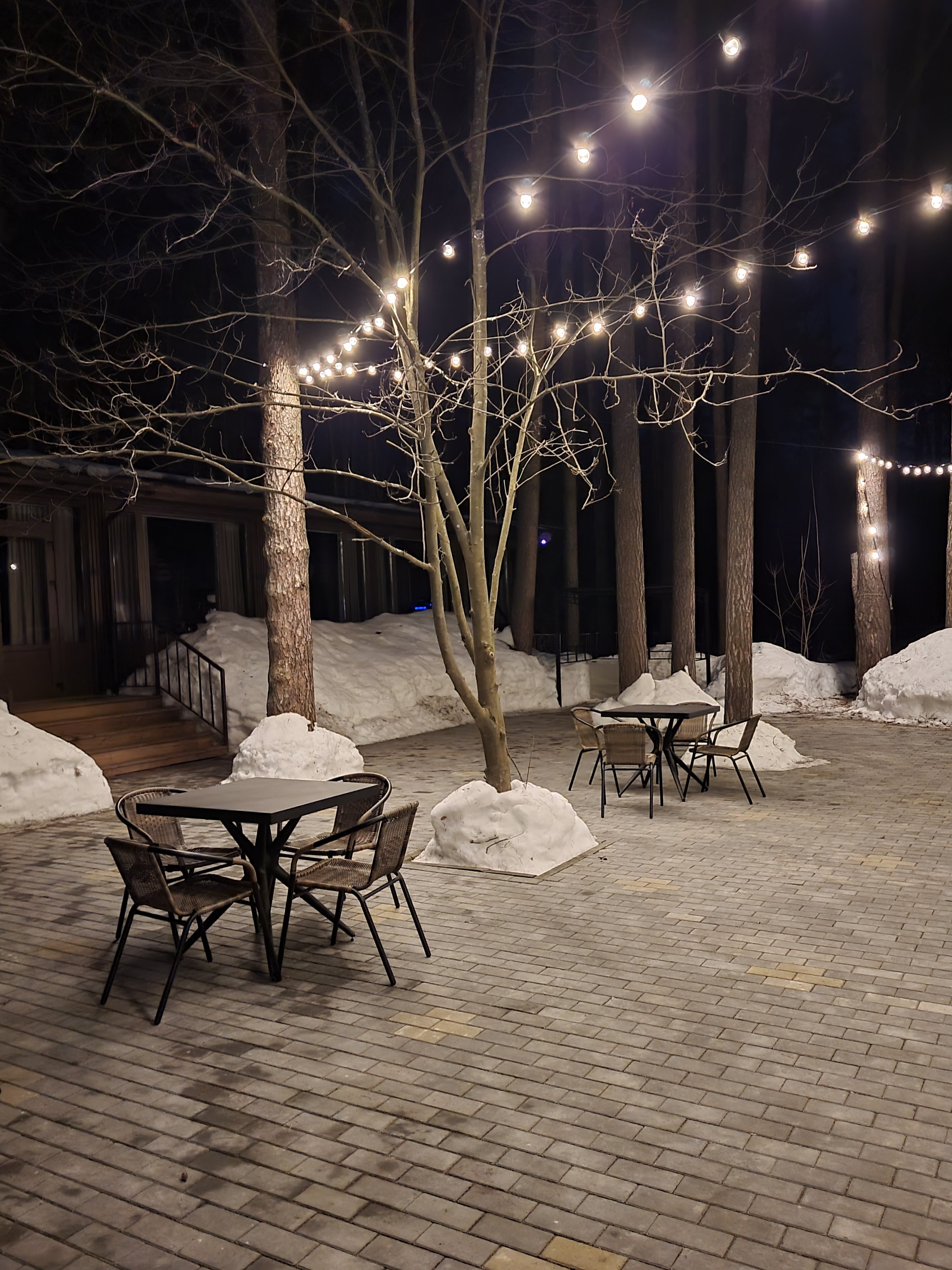 Фото Времена года в зелёном городе