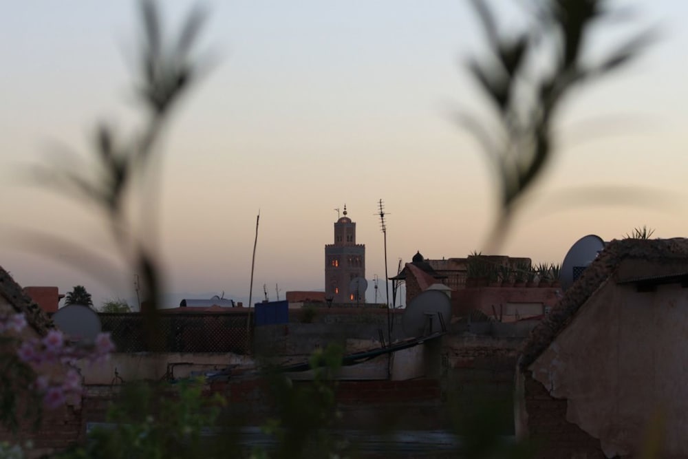 Фото Riad Le Coq Berbere