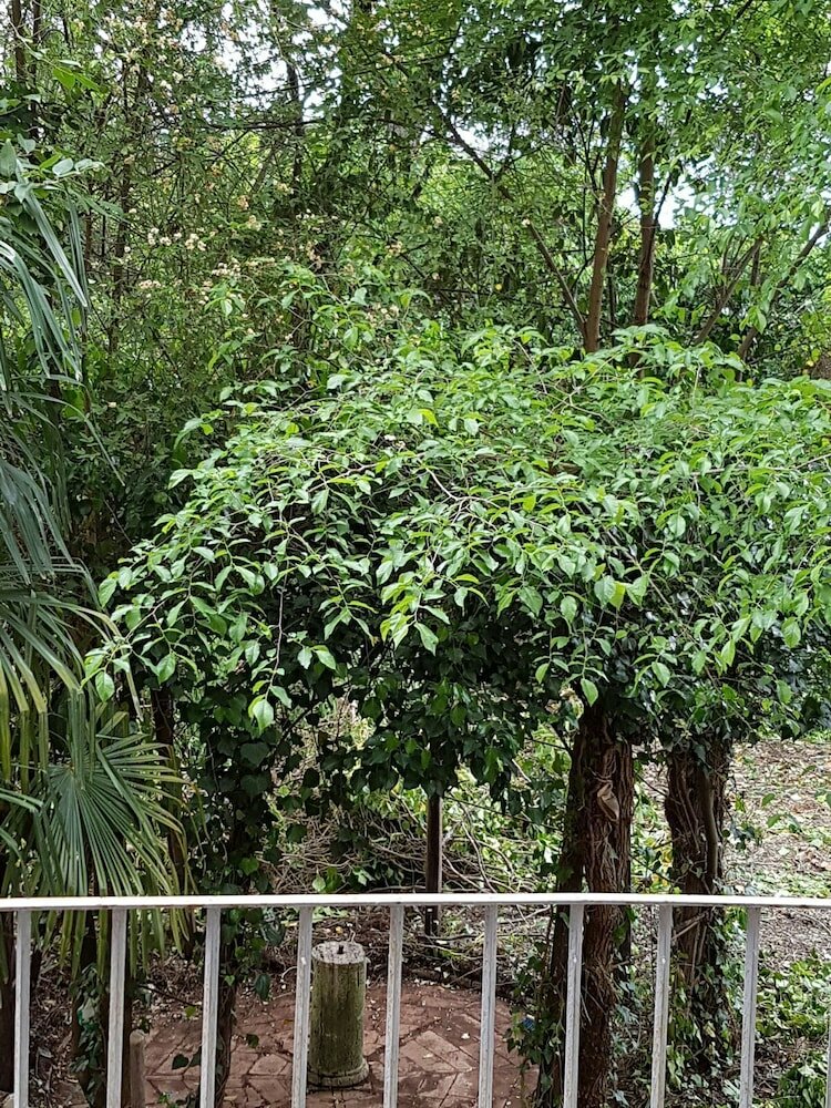 Фото Relais La Corte Dei Cavalieri