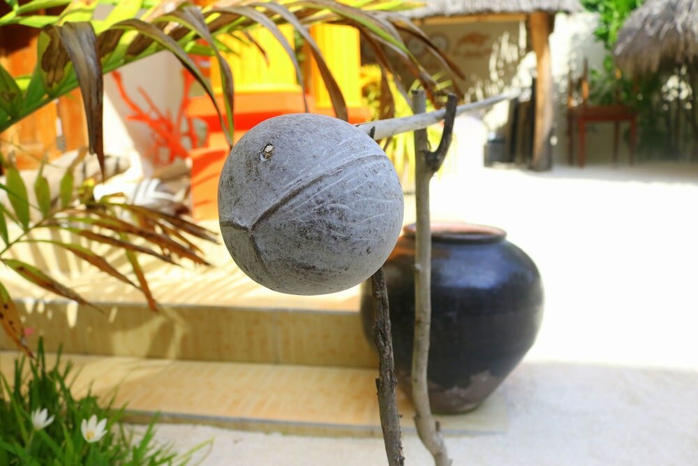 Фото Ras Beach Inn