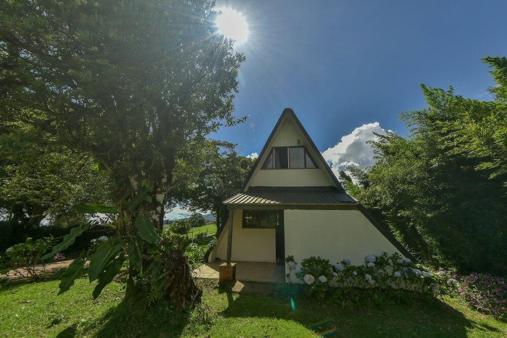 Фото Villa Calas