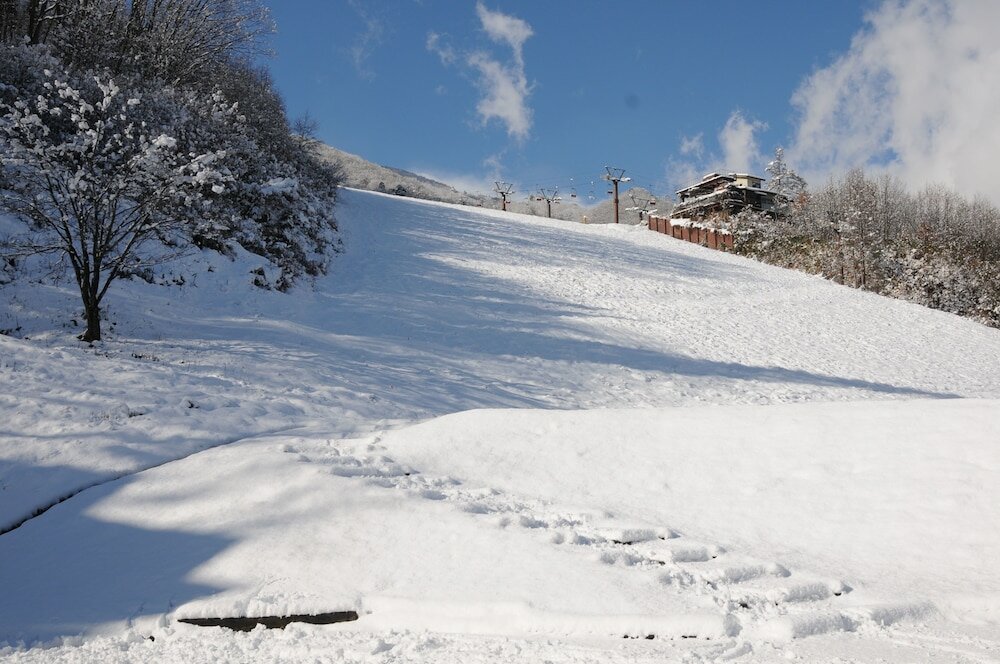 Фото Hotel Bonfire