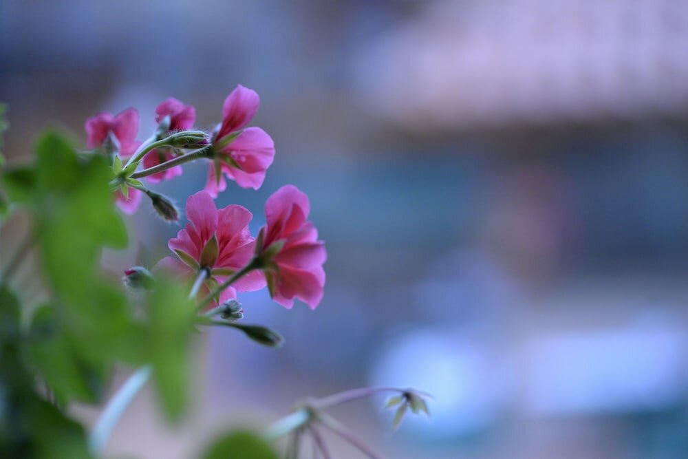 Фото Agroturismo Ordaola