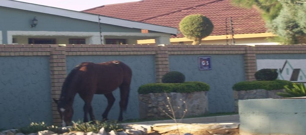 Фото Berry Bliss Guest House