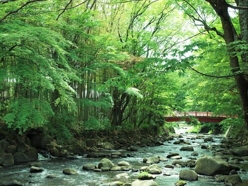 Внешний вид отеля Arai Ryokan в Идзу, фото 2