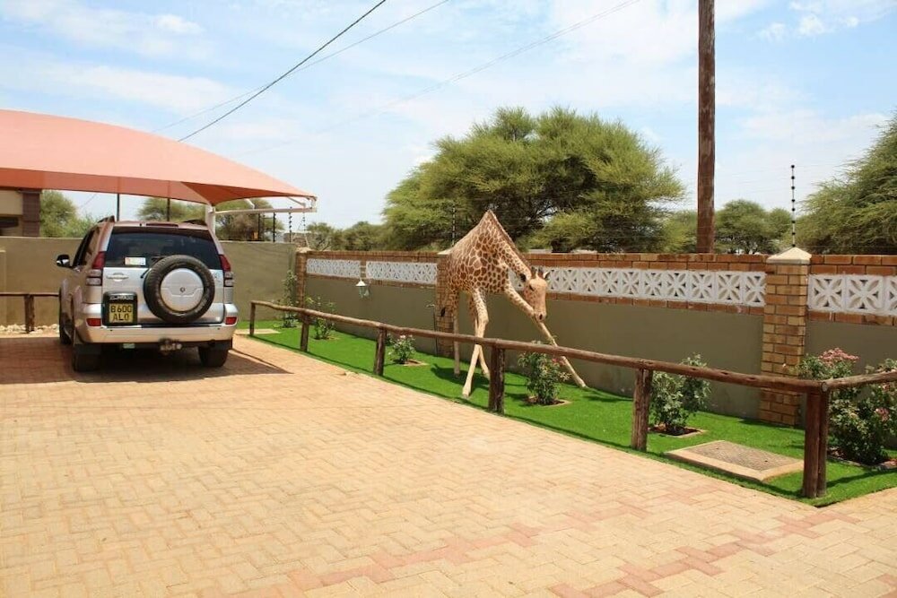 Фото Overflow Guest House