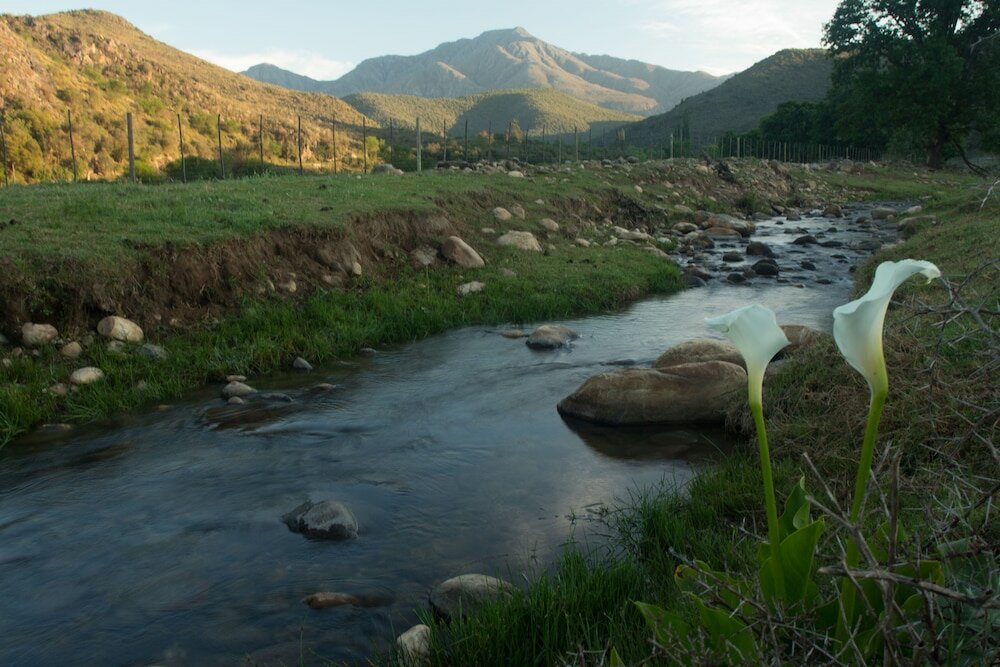 Фото De Kombuys Estate