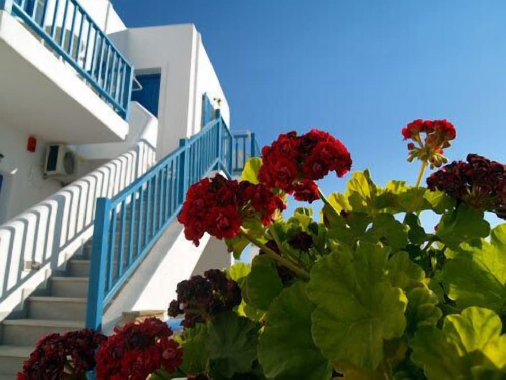 Фото Ioanna Rooms