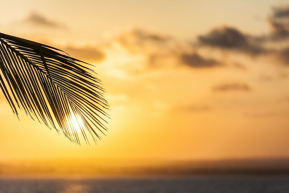 Фото Ibo Island Lodge