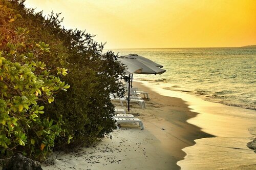 Гостиница Dhiffushi White Sand Beach Hotel