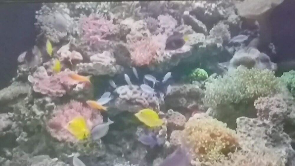 Фото LeMarida Suites