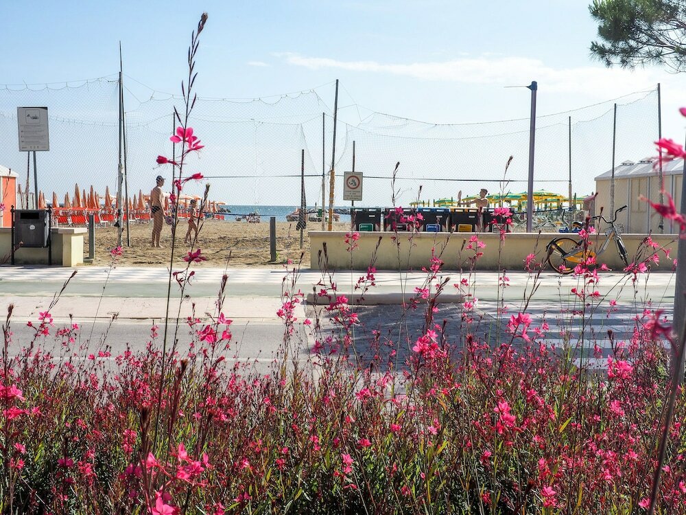 Фото Hotel Colorado Cesenatico