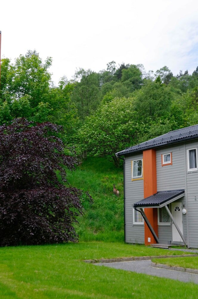 Фото Master Apartment Hotel