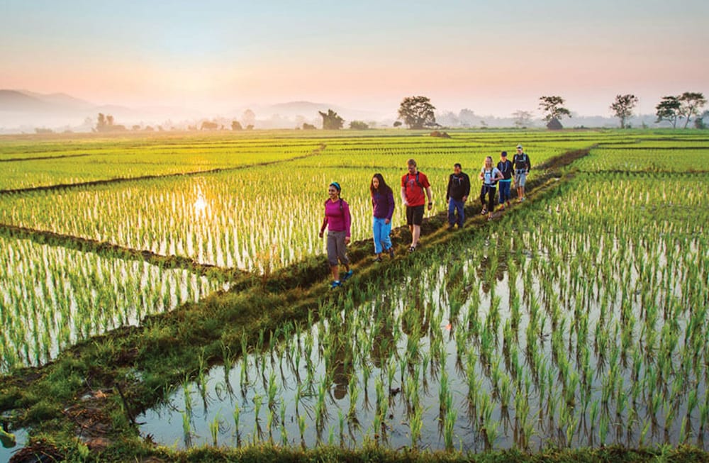 Фото Goya Boutique Resort