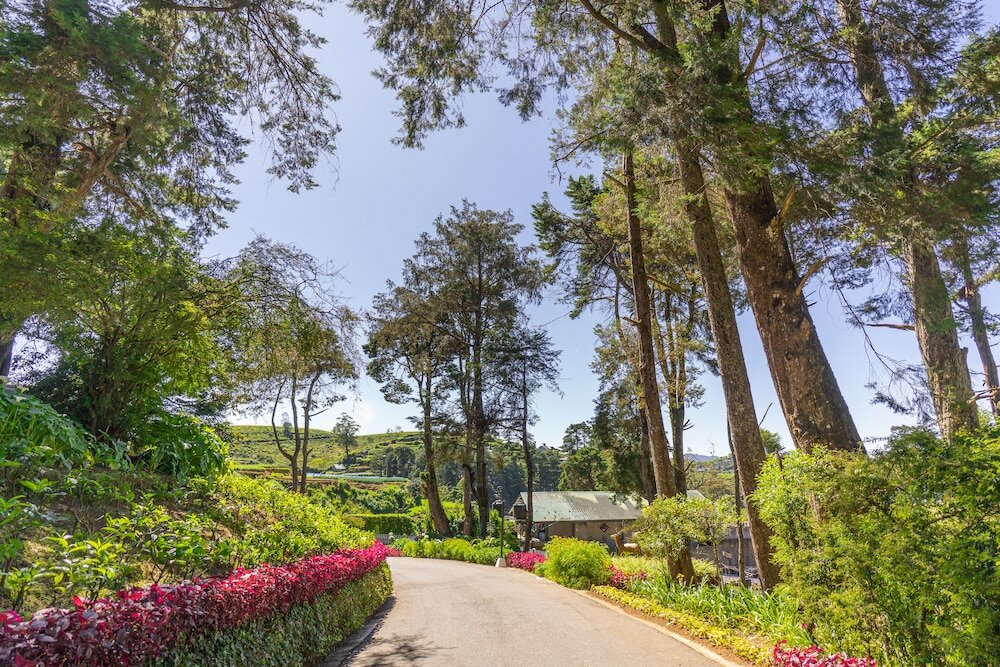 Фото Mirage Kings Cottage