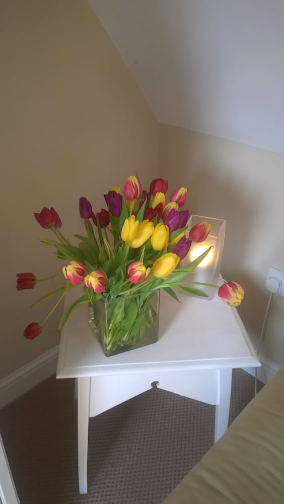 Фото Rosebank Bed & Breakfast