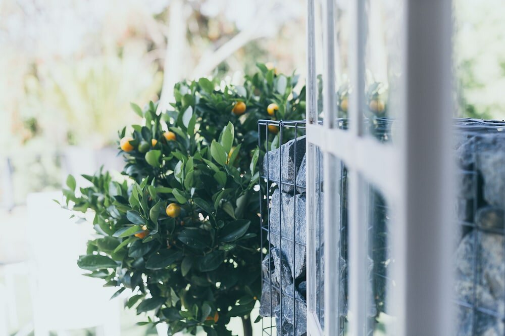 Фото B and B Sandton