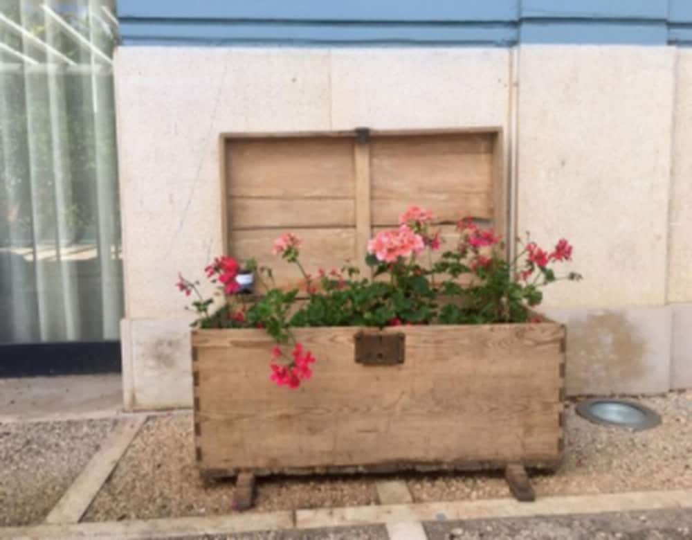 Фото Hotel Patilla Ciudad de Requena