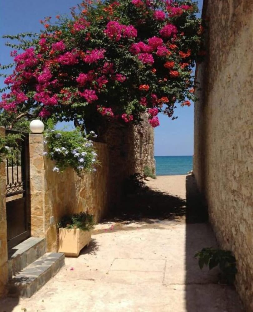 Фото Asterias Studios Apartments