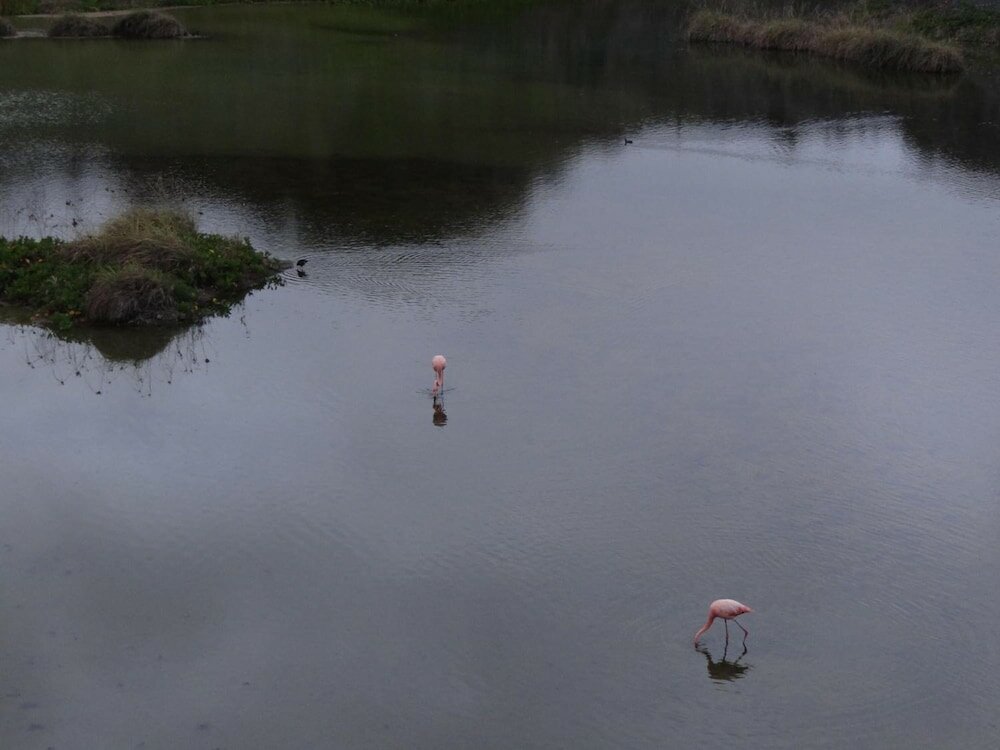 Фото El Paraiso de Isabela