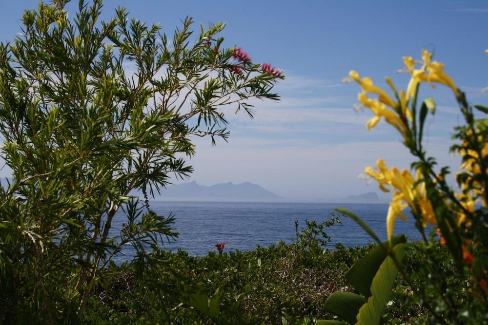 Фото Watercolours Studios