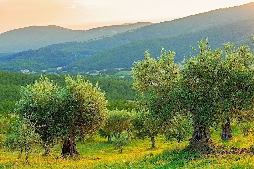 Фото Borgo di Bastia Creti