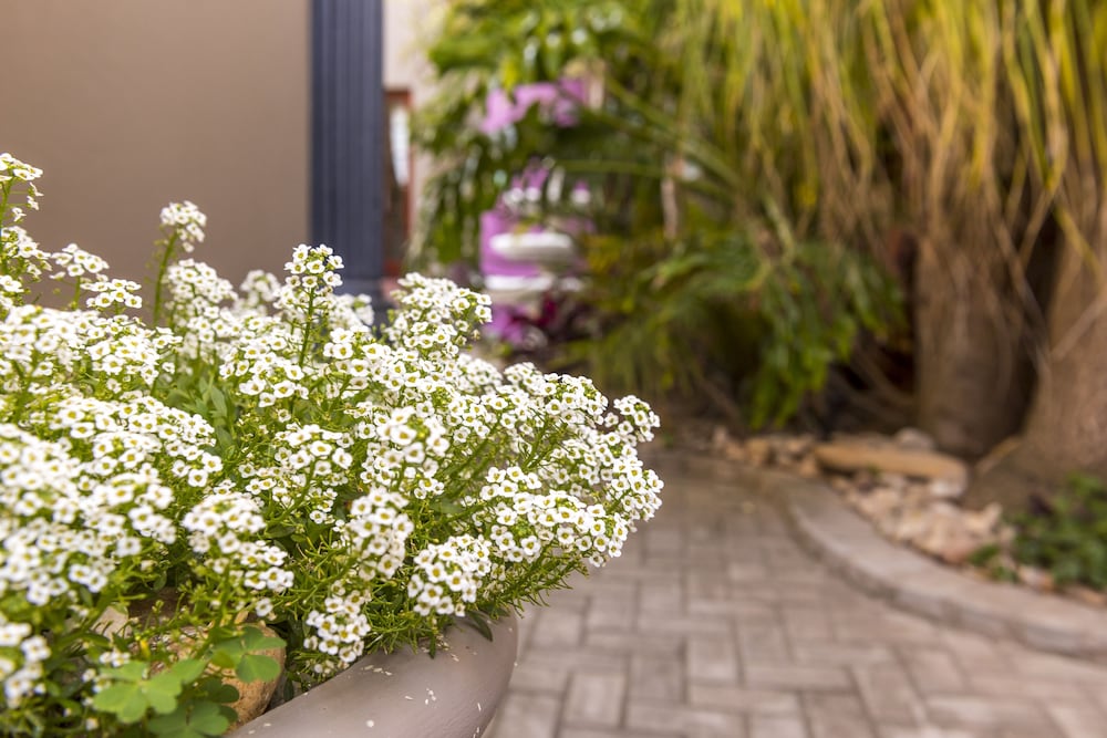 Фото Kingfisher GuestHouse