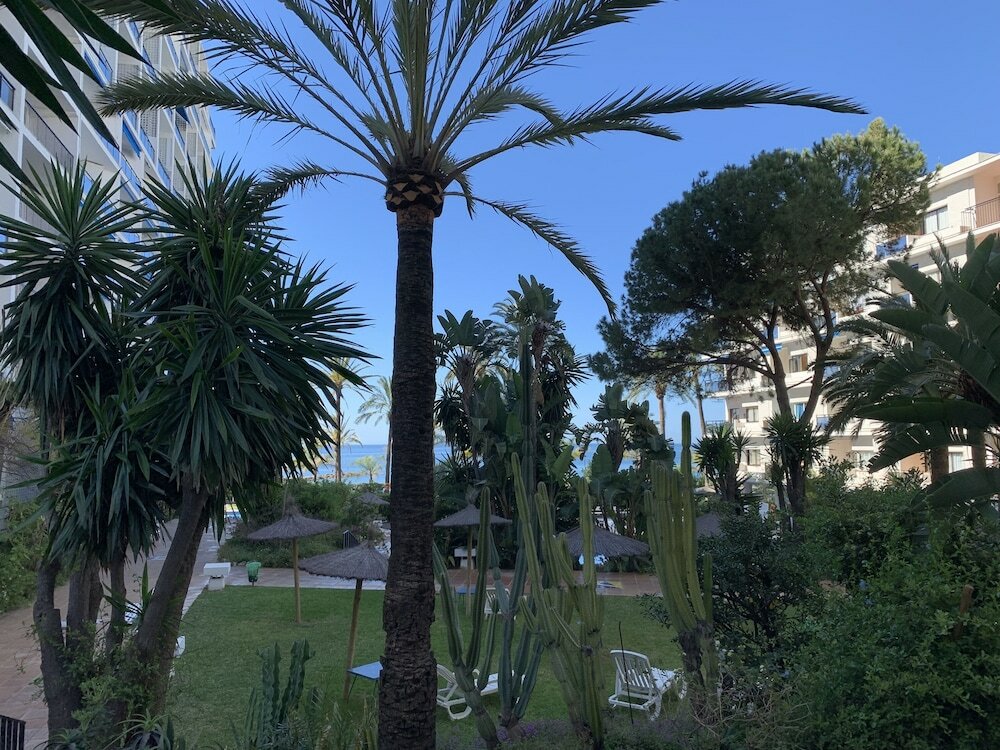 Фото Skol Apartments Marbella