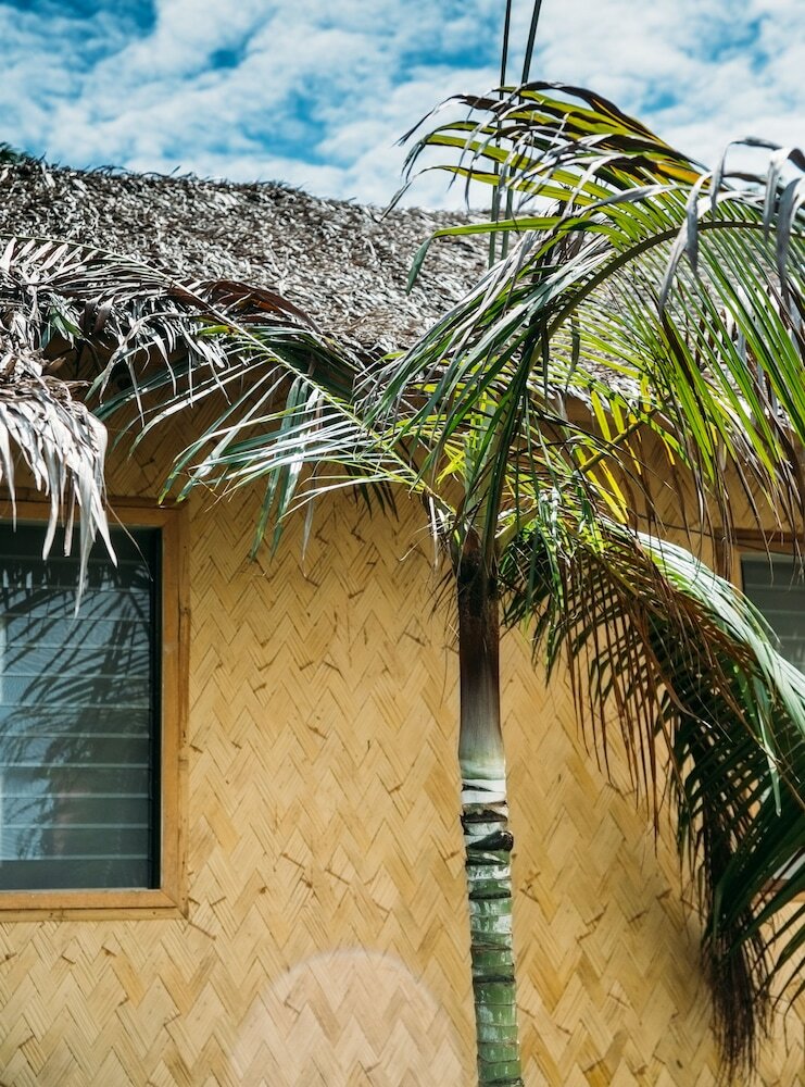 Фото Bamboo Hostel Palawan