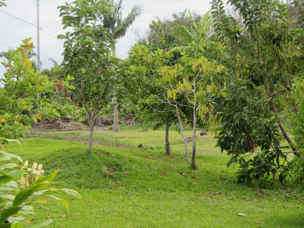 Фото Old Hawaiian B and B