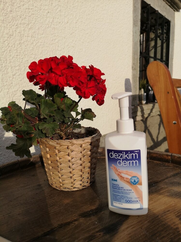 Фото Old Bled House