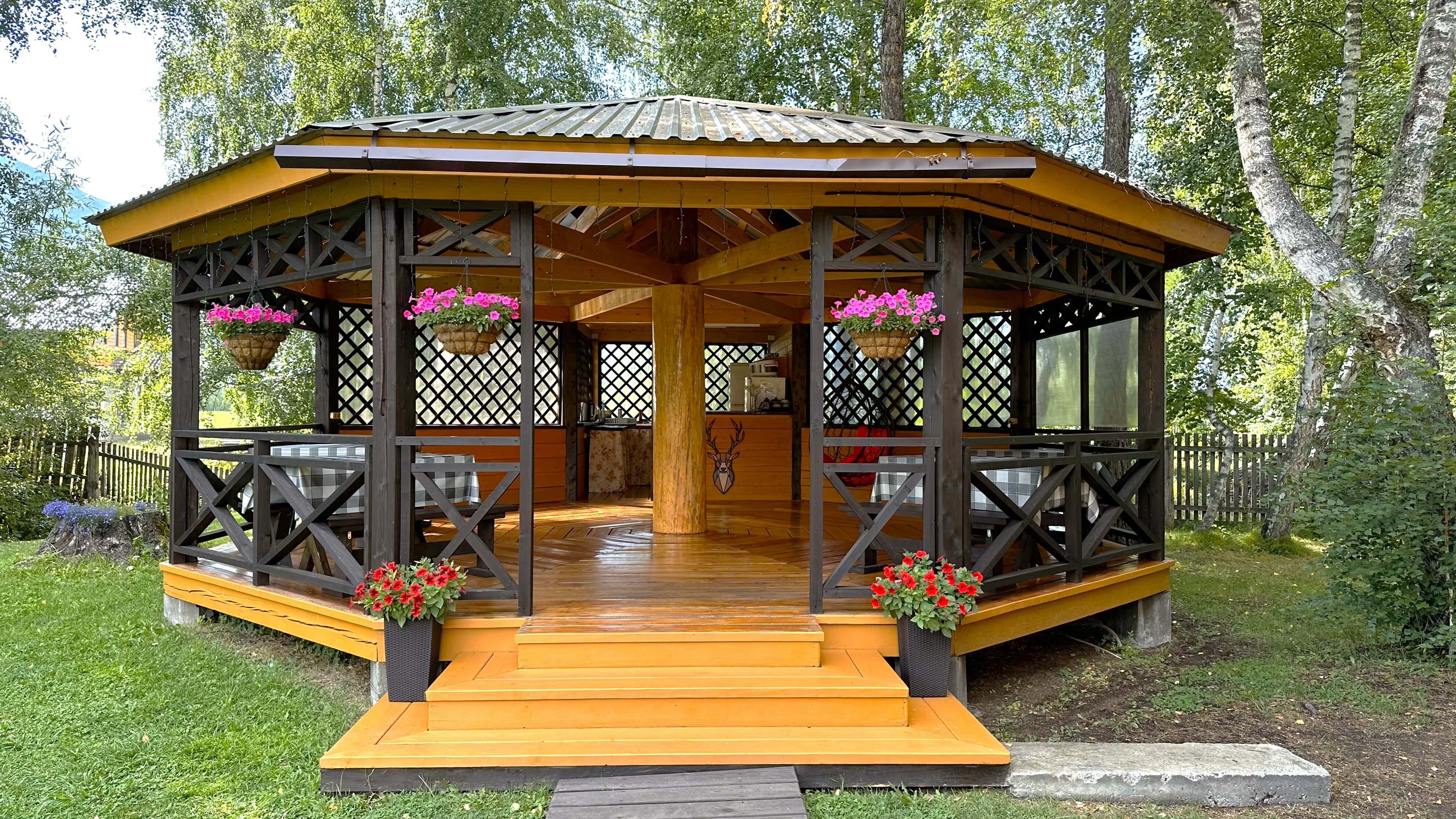 Фото Вершина Алтая