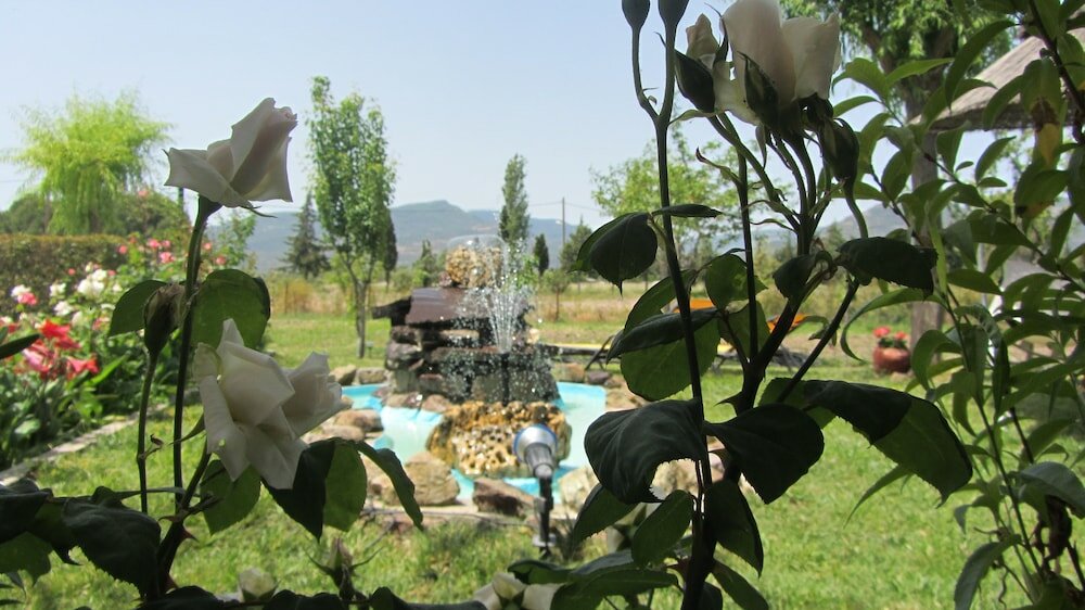 Фото Shine Studios