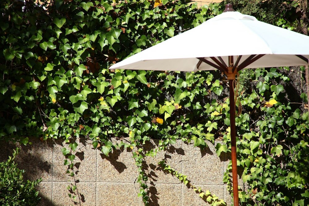 Фото Apartamentos Jade