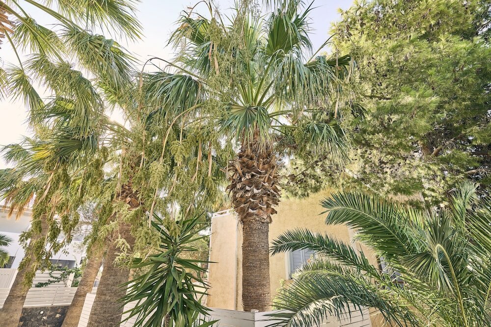 Фото Meltemi Village