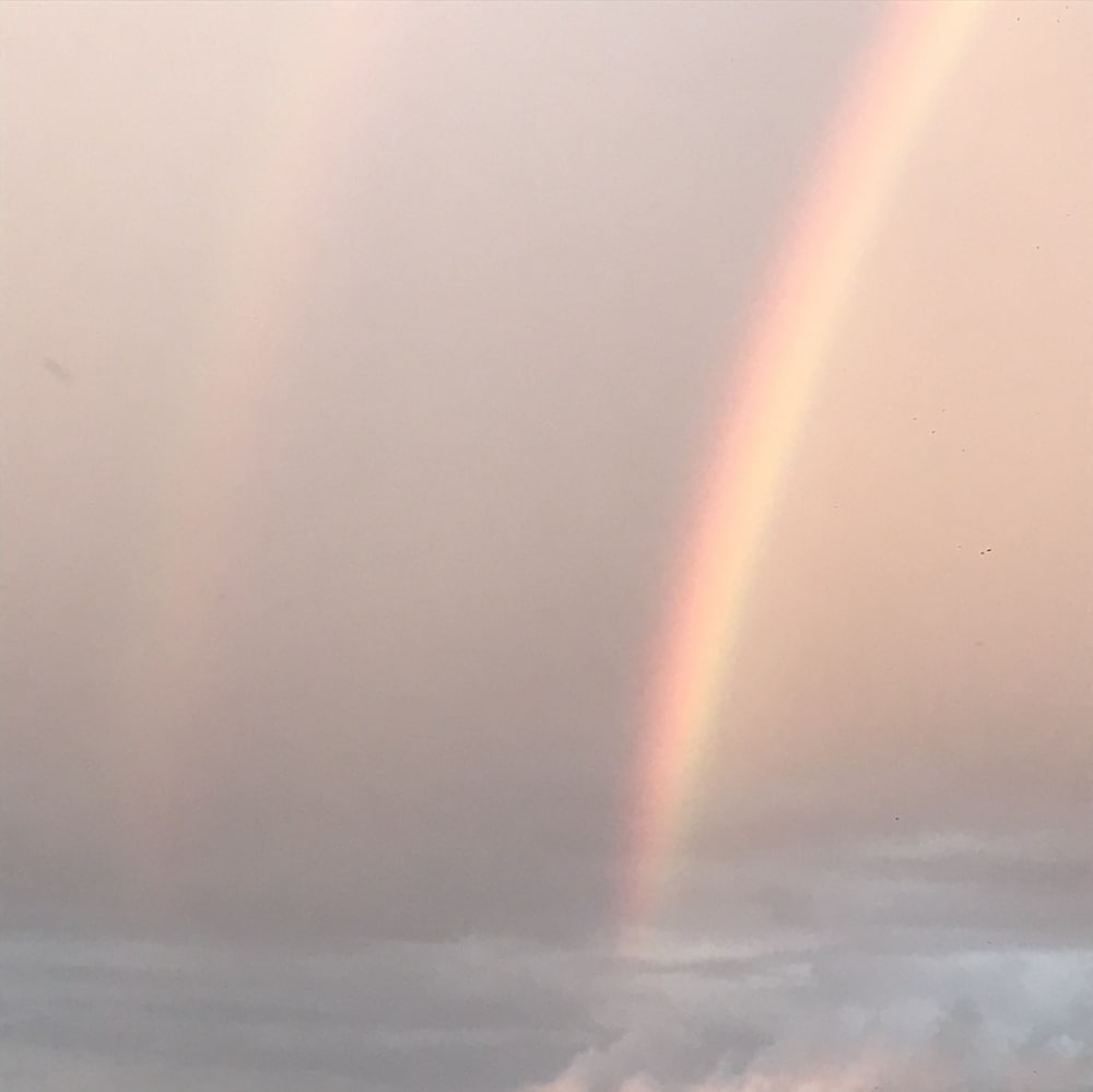 Фото Heritage Park Hotel