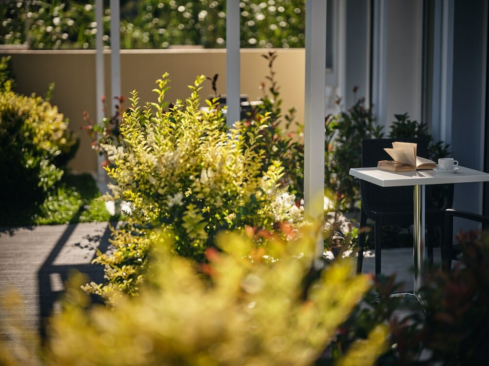 Фото Cactus Hotel