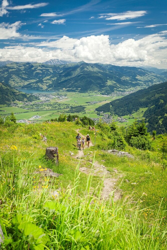 Фото Hotel Grüner Baum