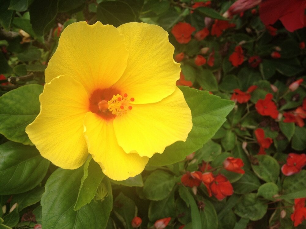 Фото Matas' Apartments