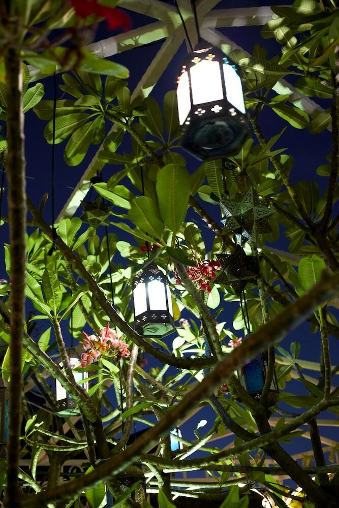 Фото Hangout at Mt Emily