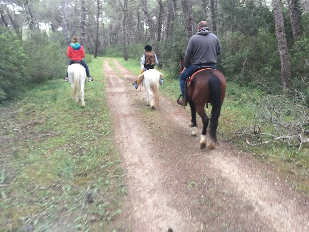 Фото Agriturismo La Stornara