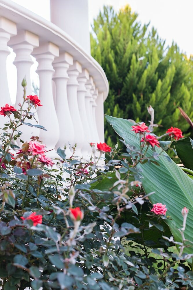 Фото King's Village Apartments