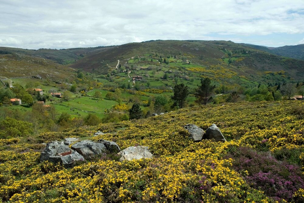 Фото Branda da Aveleira