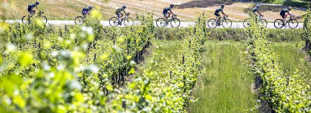 Фото Hotel Le Querce