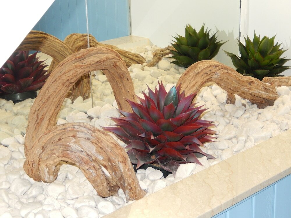 Фото Bella Giulia