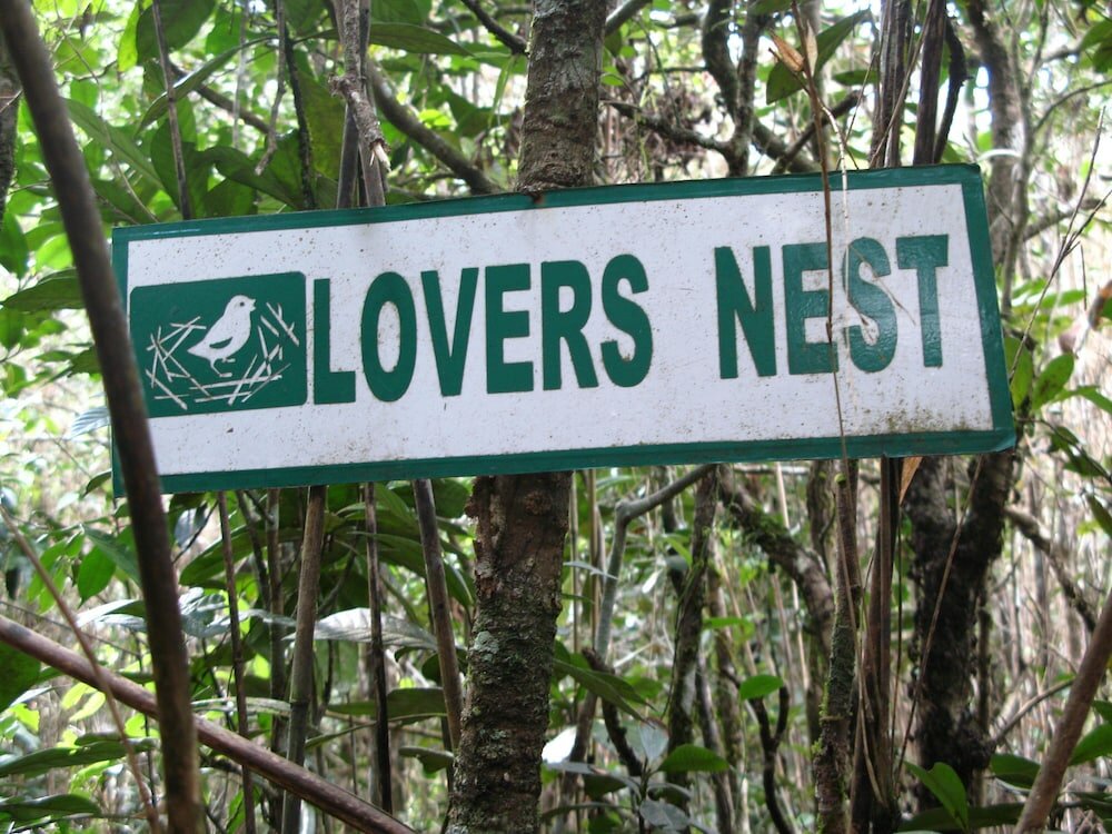 Фото White House Adam's Peak