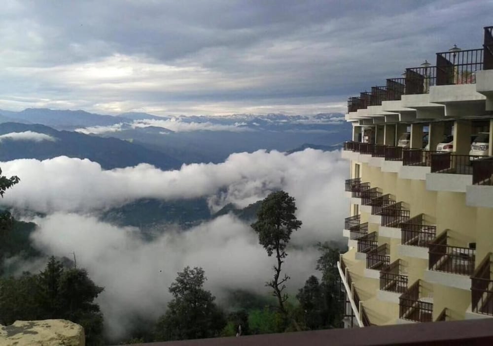 Фото Jk Clarks Exotica