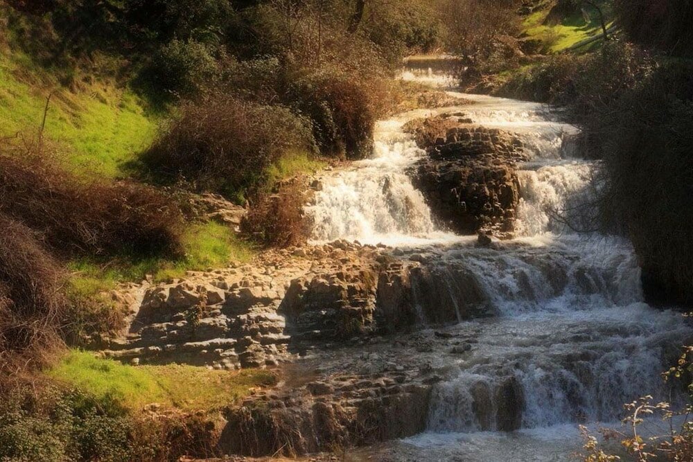 Фото Hospederia La Era