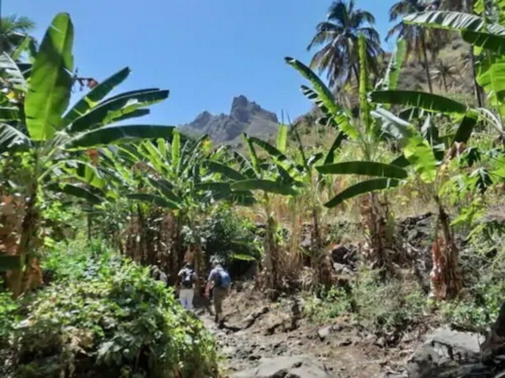 Фото Praiano Aparthotel